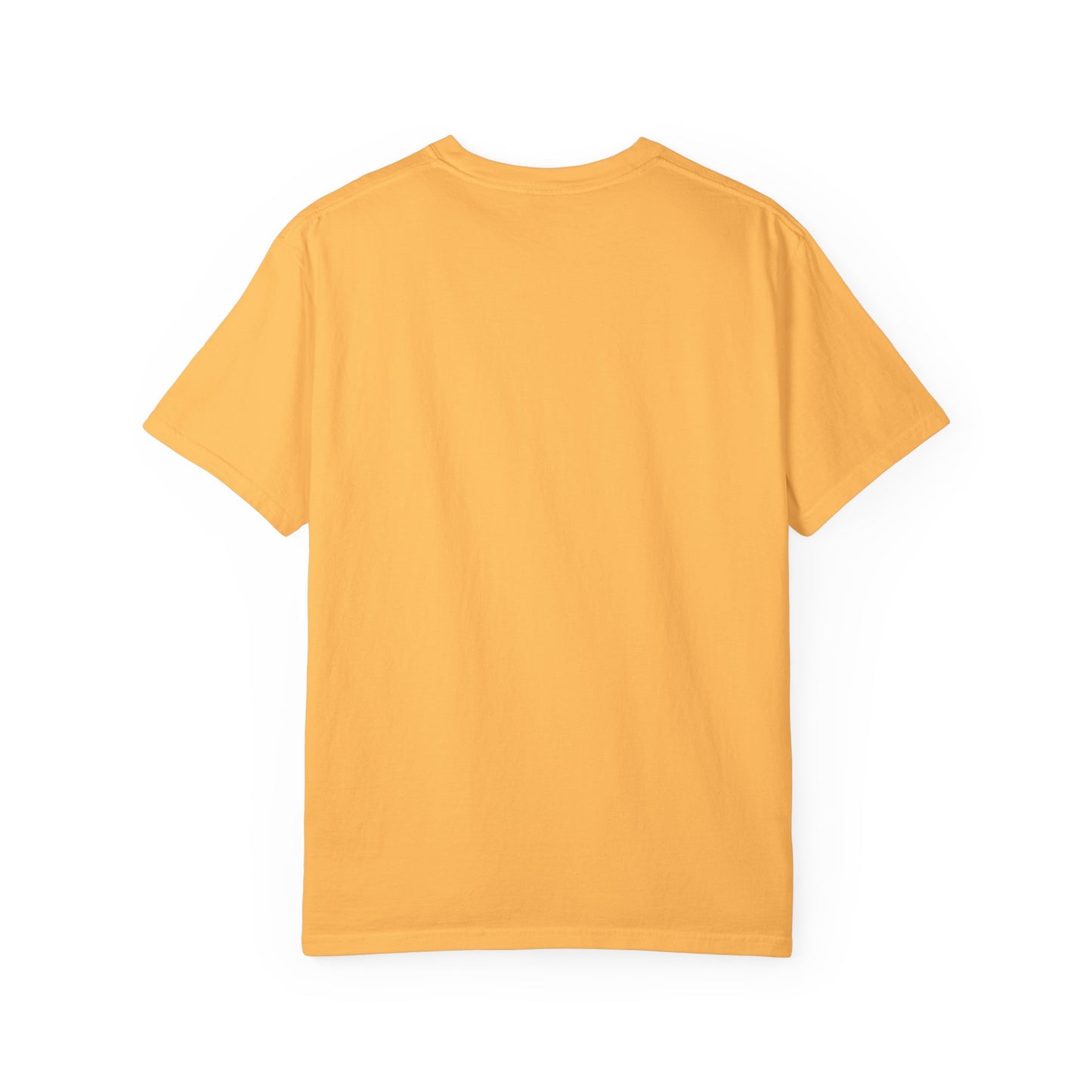 Texas Academy of Family Physicians Unisex T-shirt